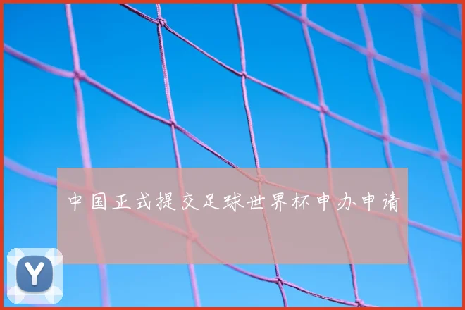 中国正式提交足球世界杯申办申请
