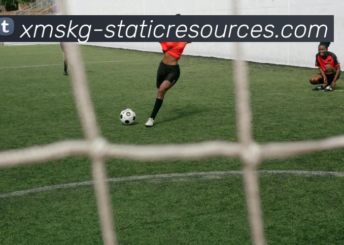 世界杯开户平台平台生态图